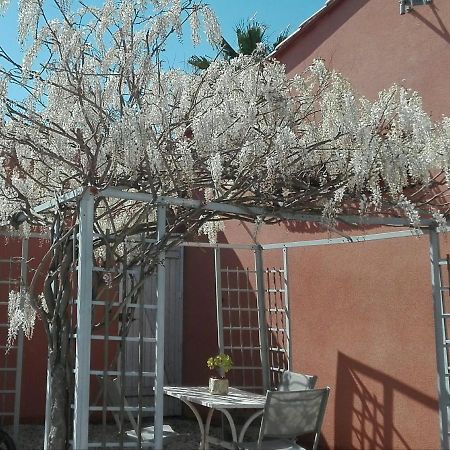 Gite Mas Uranie Le Soler Εξωτερικό φωτογραφία